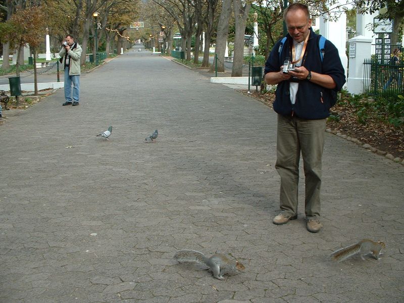 Jak widac nie bardzo plochliwe