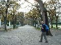 Tu rowniez niezle widac zimowa szate ogrodu
