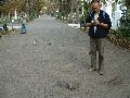 Jak widac nie bardzo plochliwe